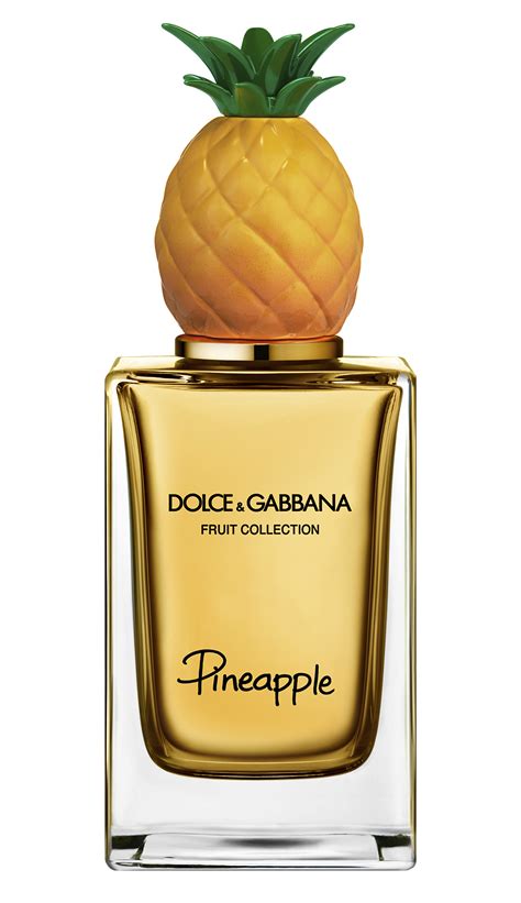 dolce gabbana xs perfume|dolce and gabbana unisex fragrance.